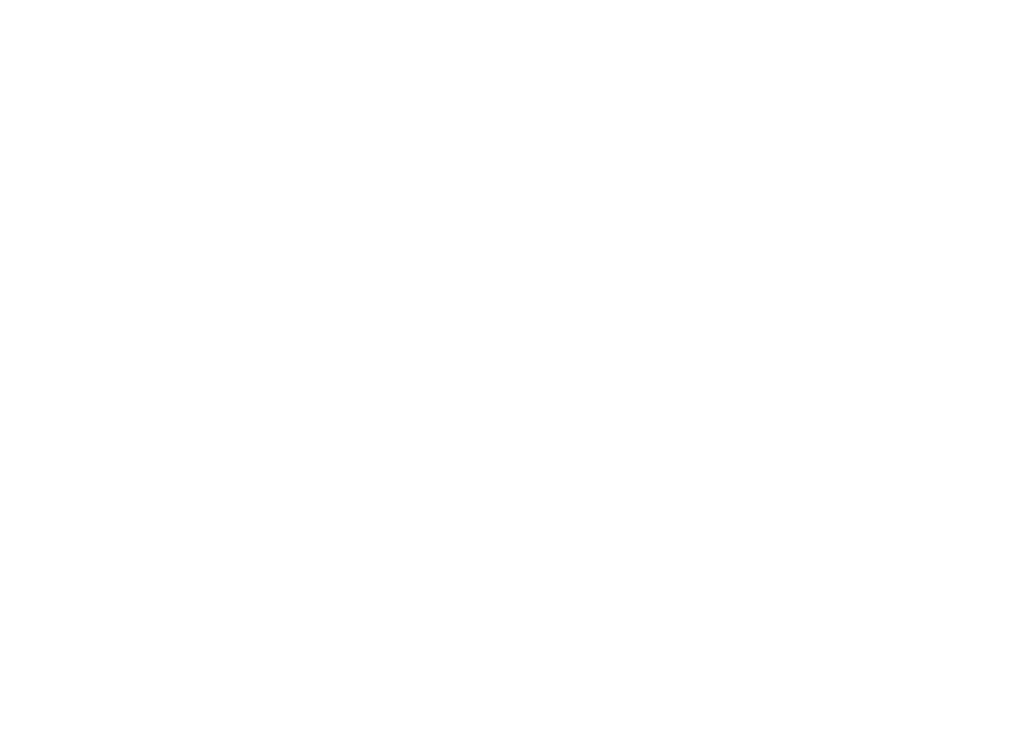 Bulladoir logo